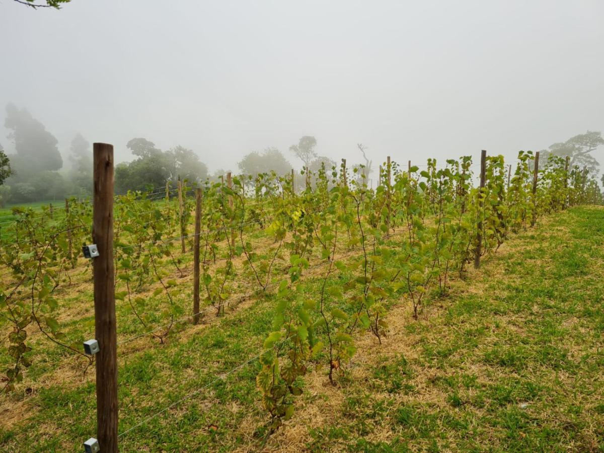 Chales Vinhas Da Harmonia L Pousada Em Cunha Sp Exterior photo