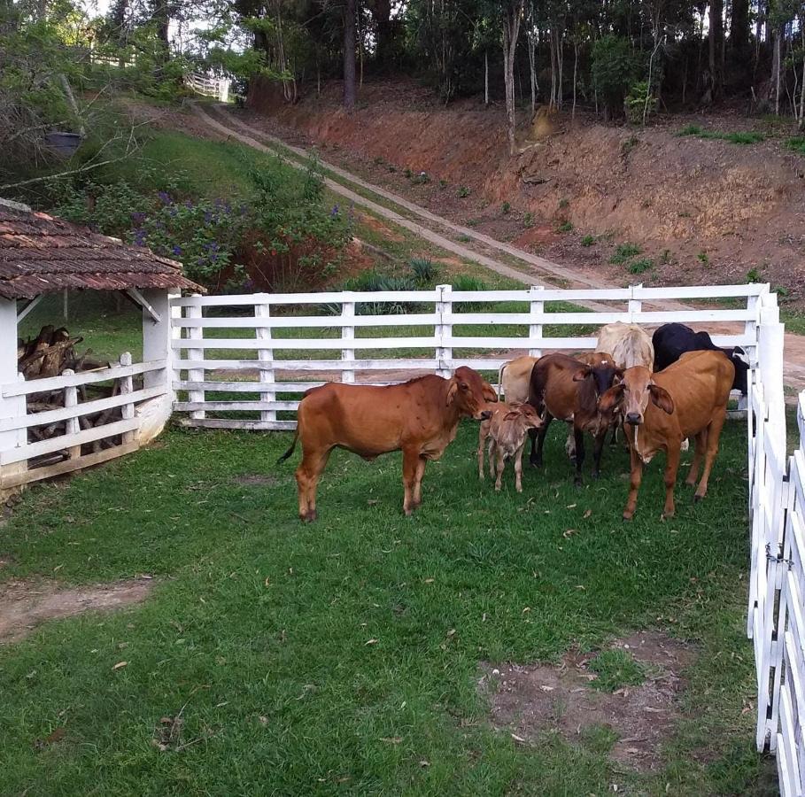 Chales Vinhas Da Harmonia L Pousada Em Cunha Sp Exterior photo