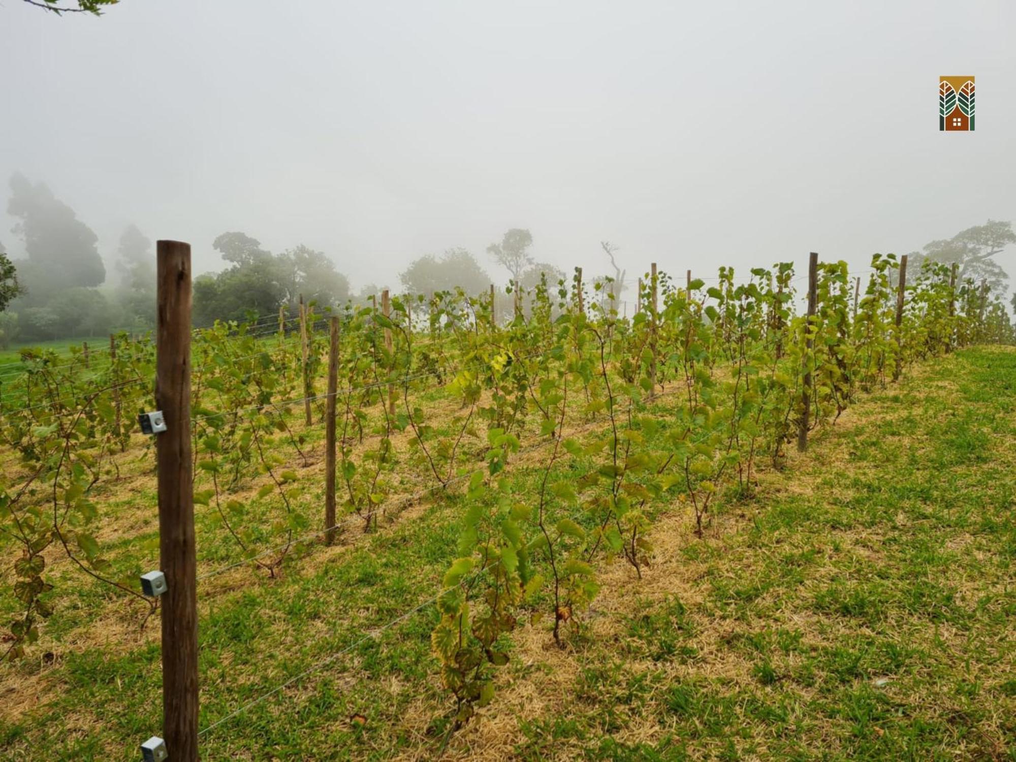 Chales Vinhas Da Harmonia L Pousada Em Cunha Sp Exterior photo