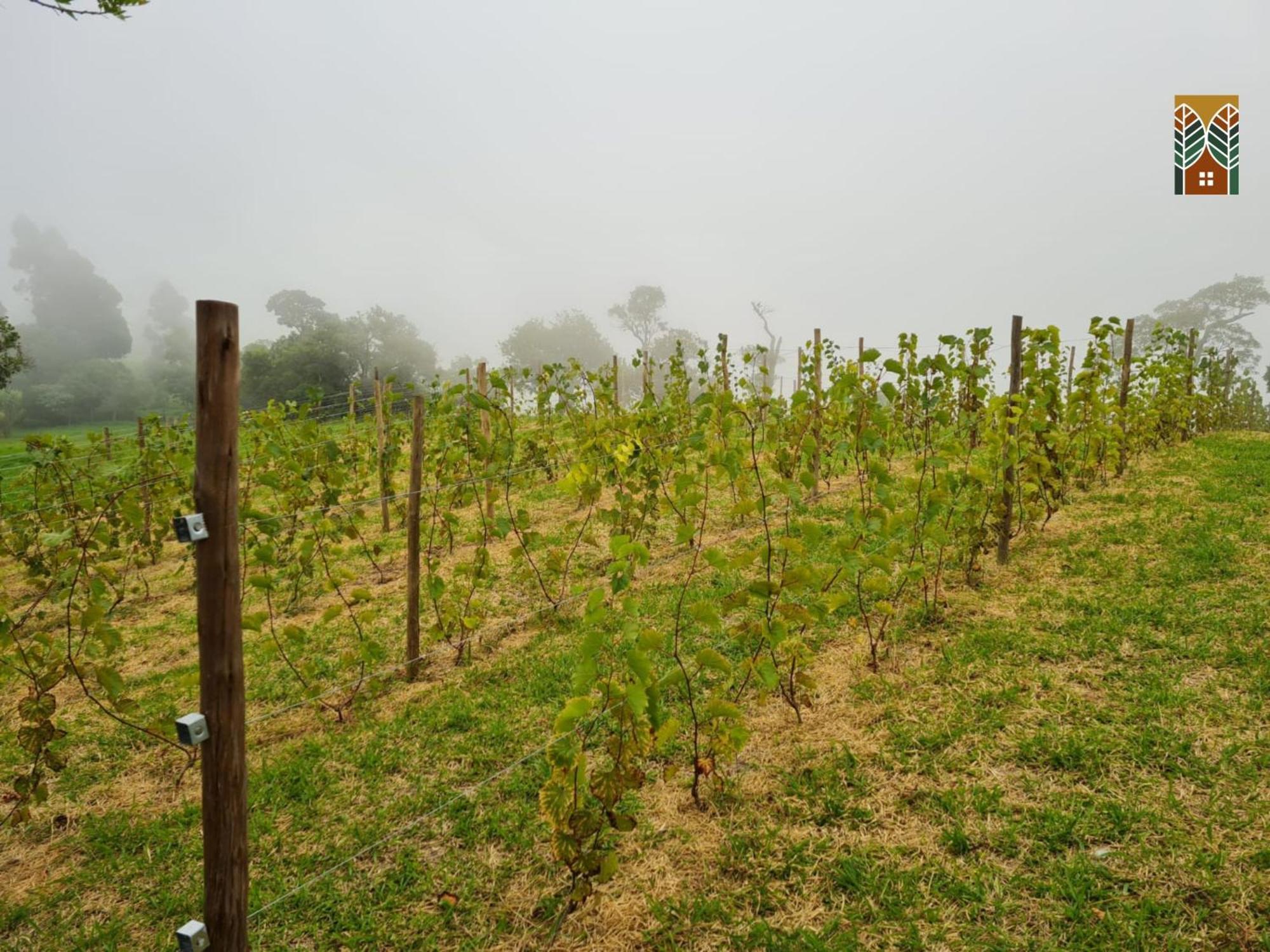 Chales Vinhas Da Harmonia L Pousada Em Cunha Sp Exterior photo